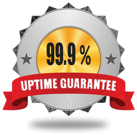 text.lk-Uptime-Guarantee